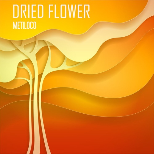 Dried Flower-Metiloco