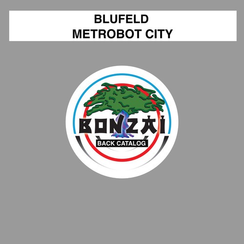 Metrobot City