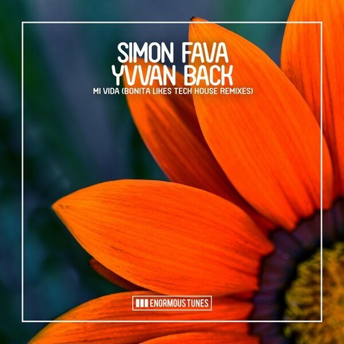 Yvvan Back, Simon Fava-Mi Vida (Bonita Likes Tech House Remixes)