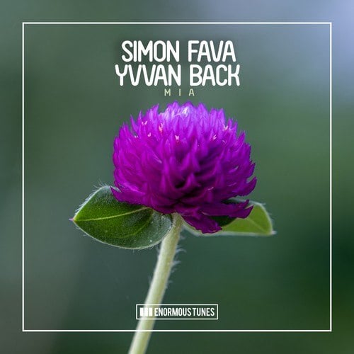 Simon Fava, Yvvan Back-Mia