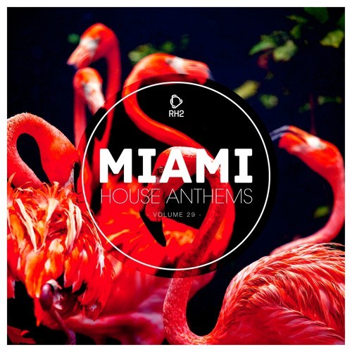 Various Artists-Miami House Anthems, Vol. 29