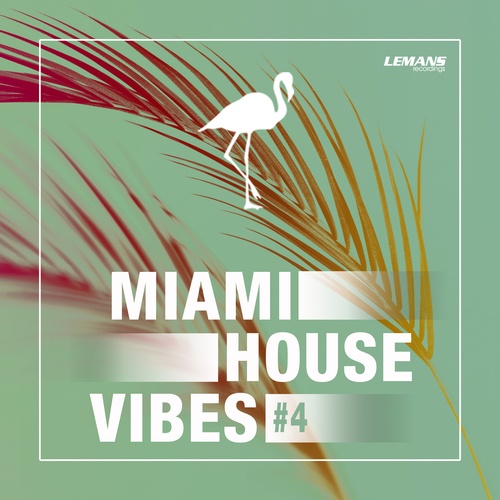 Various Artists-Miami House Vibes #4