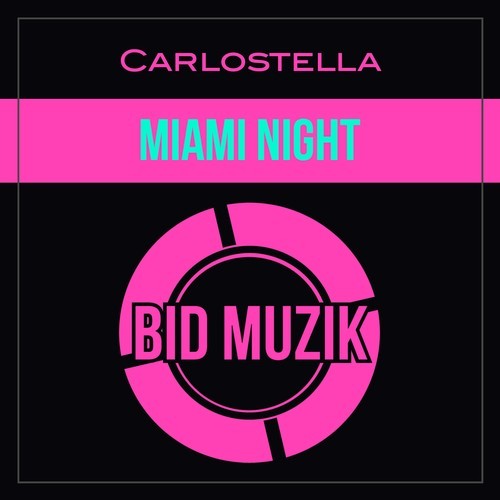 Carlostella-Miami Night