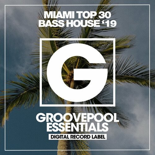 Miami Top 30 Bass House '19