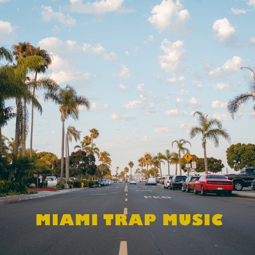 Various Artists-Miami Trap Music
