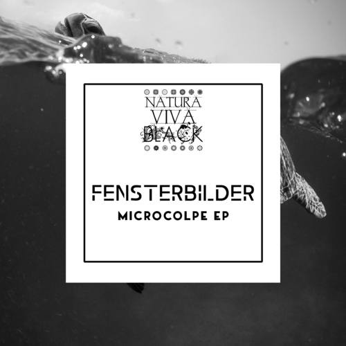 Fensterbilder-Microcolpe