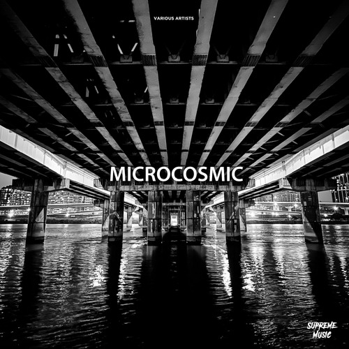 Various Artists-Microcosmic