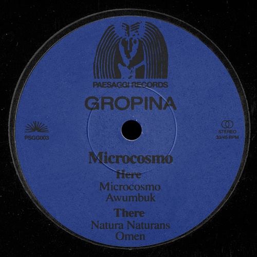 GROPINA-Microcosmo