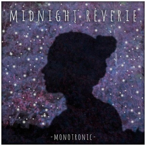 Monotronic-Midnight Reverie