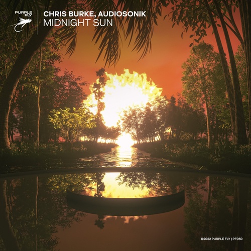 Chris Burke, Audiosonik-Midnight Sun