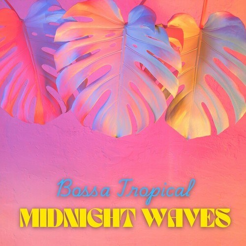 Bossa Tropical-Midnight Waves