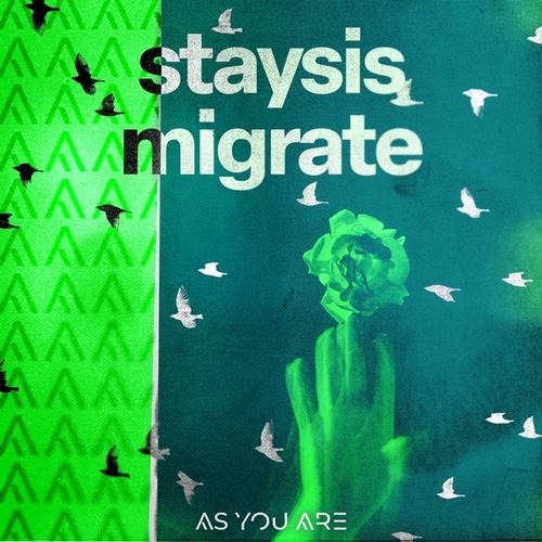 Staysis-Migrate