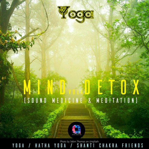 Mind Detox (Sound Medicine & Meditation), Vol.4