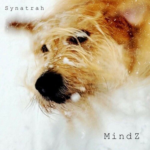 Synatrah-Mindz