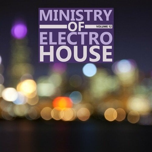 Ministry of Electro House, Vol. 12
