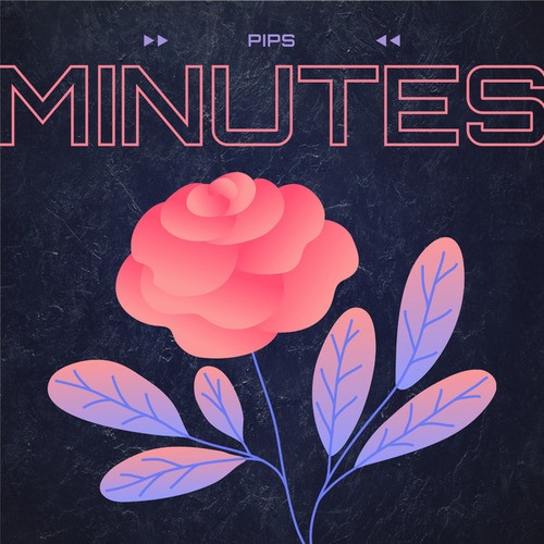 PIPS-Minutes
