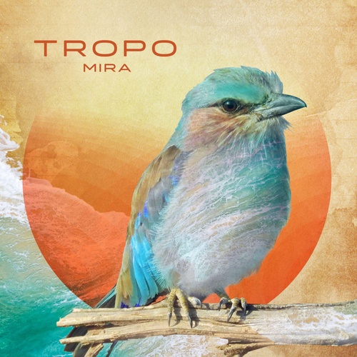 Tropo, Shayari Project, Timo Beckwith, Jesse Hendricks, Camille Gomez, Todd Cooper-Mira