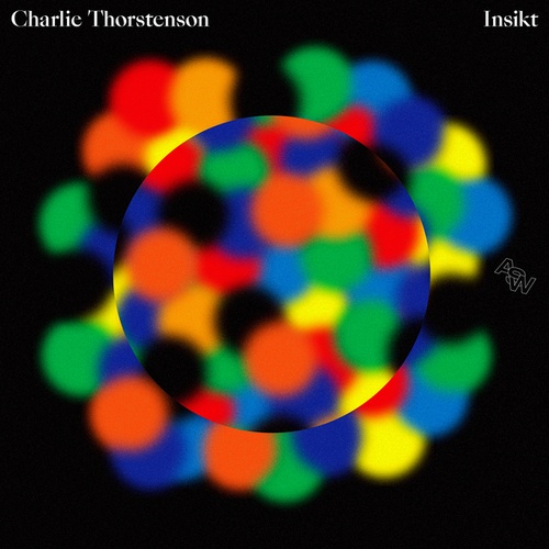 Charlie Thorstenson-Miso