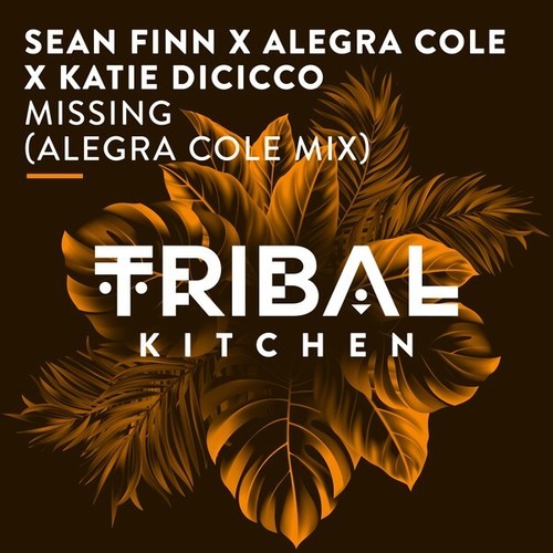 Sean Finn, Alegra Cole, Kate DiCicco-Missing (Alegra Cole Mix)