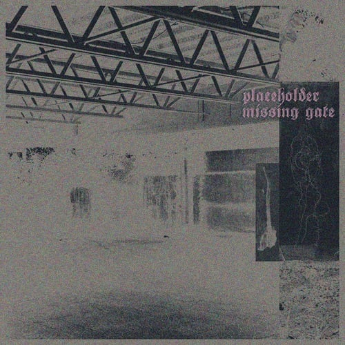 missing gate