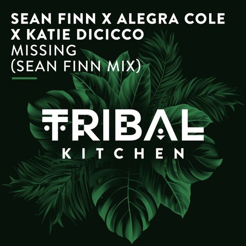 Alegra Cole, Katie DiCicco, Sean Finn-Missing (Sean Finn Mix)