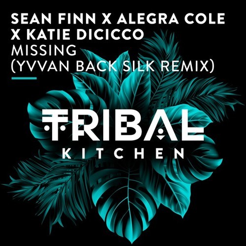 Sean Finn, Alegra Cole, Katie DiCicco, Yvvan Back-Missing (Yvvan Back Silk Remix)