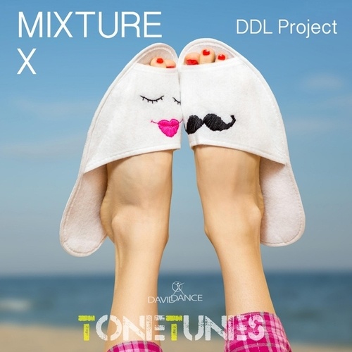 DDL Project-Mixture X