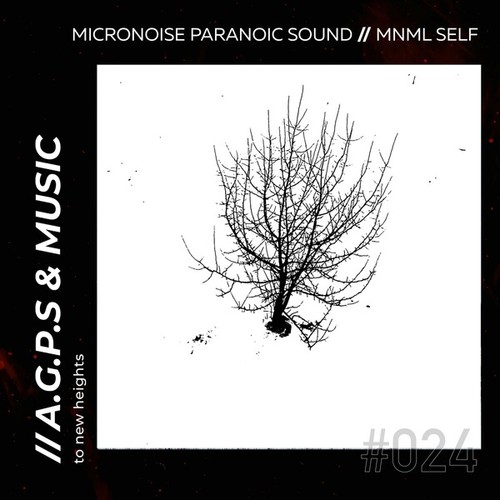 Micronoise Paranoic Sound-Mnml Self
