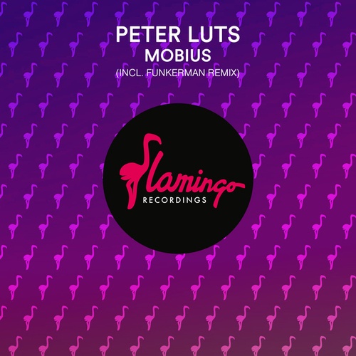 Peter Luts, Funkerman-Mobius