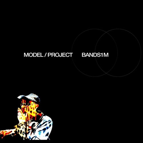 Model / Project