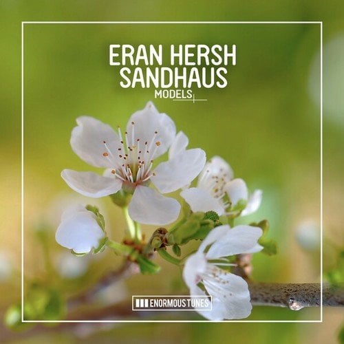 Eran Hersh, SANDHAUS-Models