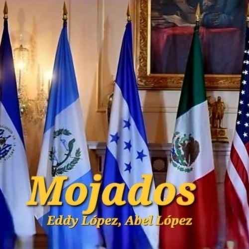 Mojados