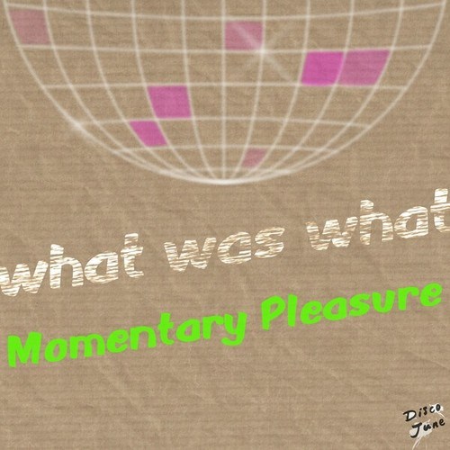What Was What-Momentary Pleasure