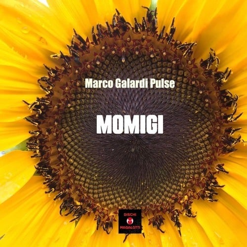 Marco Galardi Pulse-Momigi