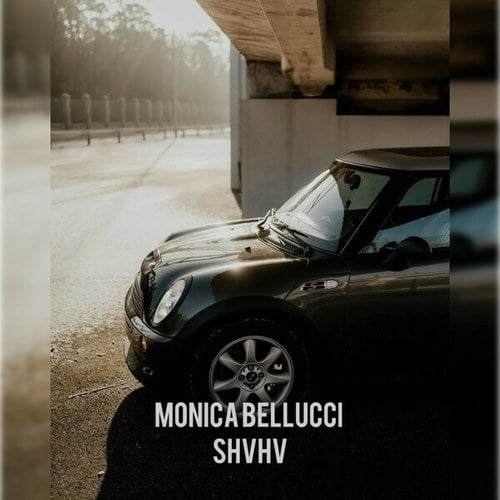 SHVHV-Monica Bellucci