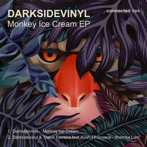 Darksidevinyl, THEUS FERREIRA, Ayah Tlhanyane-Monkey Ice Cream EP