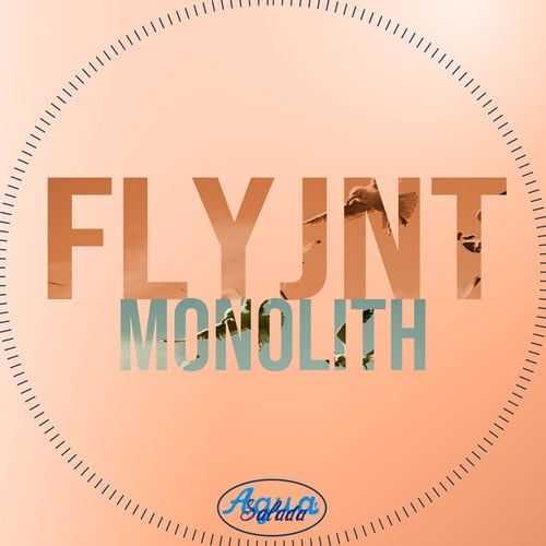 FLYJNT, Deephope-Monolith