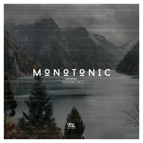 Various Artists-Monotonic Issue 14