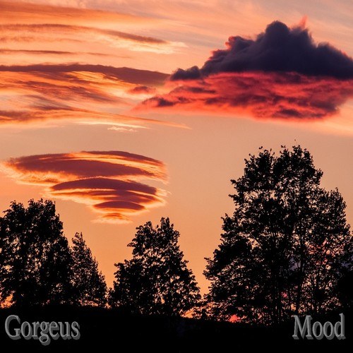 Gorgeus-Mood