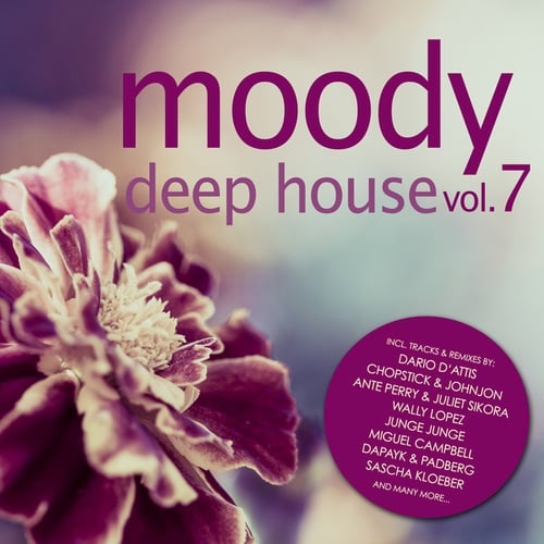 Moody Deep House, Vol. 7