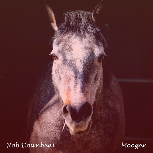 Rob Downbeat-Mooger