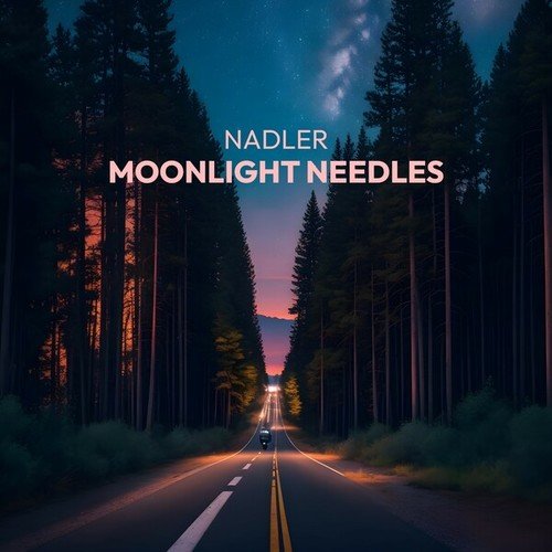 Nadler-Moonlight Needles