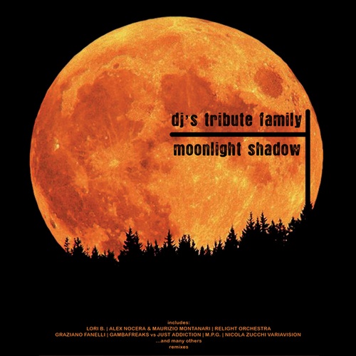 Dj's Tribute Family, Graziano Fanelli, Gambafreaks, Just Addiction, M.P.G., Nicola Zucchi, Rudeejay, Gianni Donzelli, Lori B., Alex Nocera, Maurizio Montanari, Relight Orchestra-Moonlight Shadow