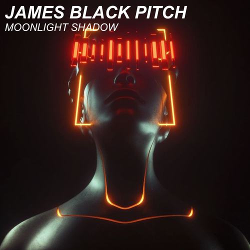 James Black Pitch-Moonlight Shadow