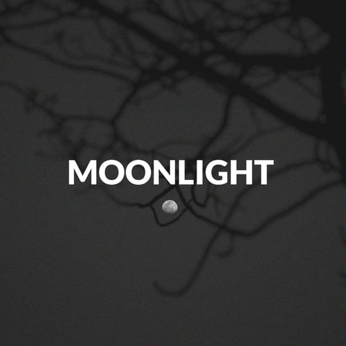 Wimx, Vapi, Jahseh Onfroy, John Cunningham-Moonlight