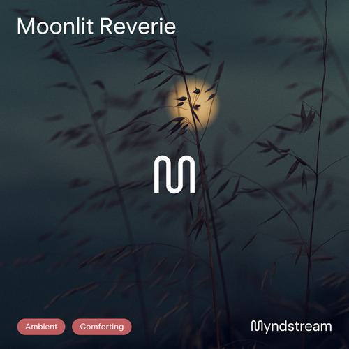 Moonlit Reverie