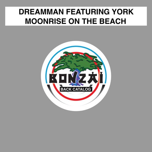 DreamMan, York, Vokoss-Moonrise On The Beach