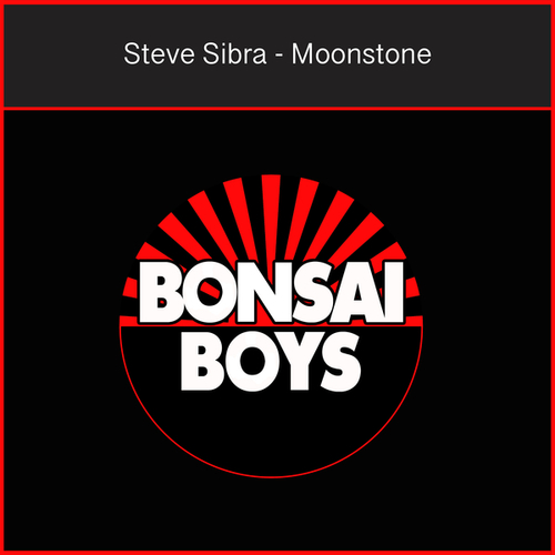 Steve Sibra-Moonstone