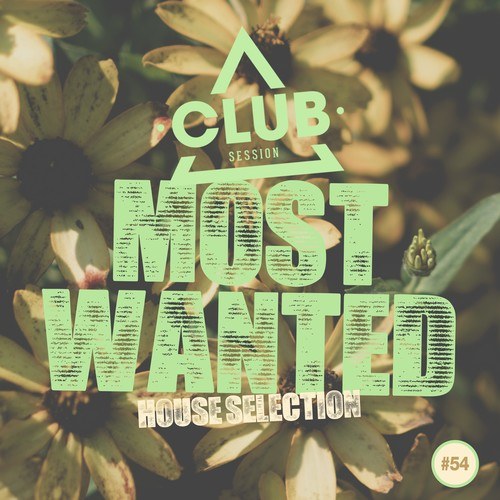 Most Wanted - House Selection, Vol. 54