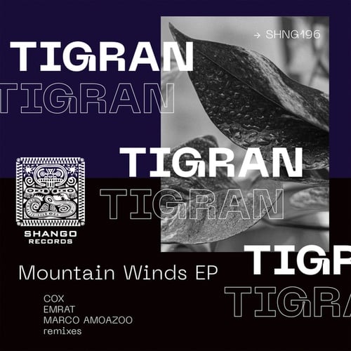 Tigran, Cox, Emrat, Marco Amoazoo-Mountain Winds EP